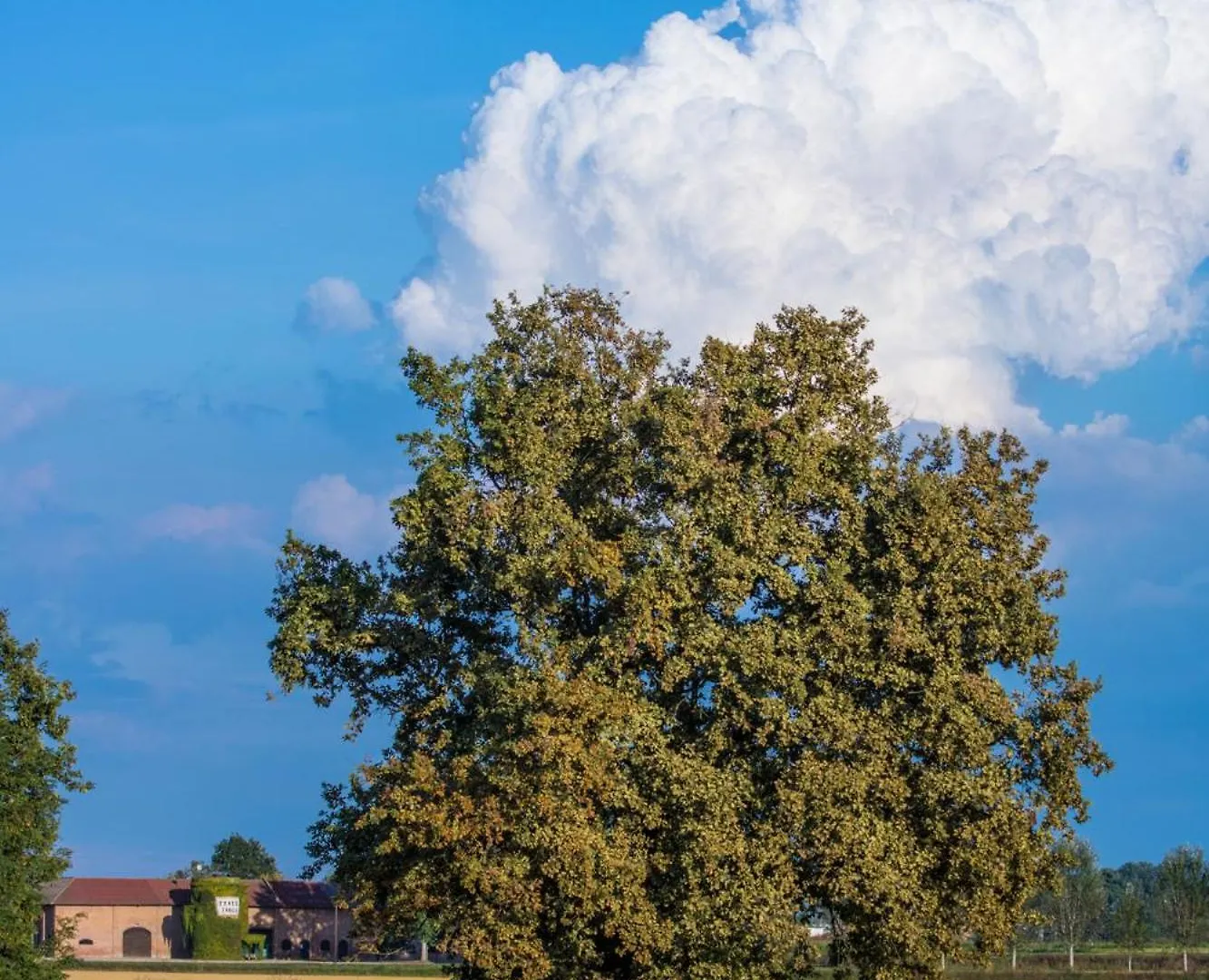 Tenuta Isola Langosco Farm stay